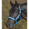 WALDHAUSEN LITTLE HORSES Kantar