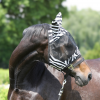 YORK ZEBRA Maska przeciw owadom