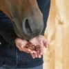.KOŃSKA CUKIERENKA KRAKERSY Ziołowe Smakołyki/Cukierki naturalne dla koni wrażliwych 2L.