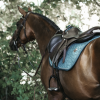 KENTUCKY VELVET Czaprak skokowy PONY