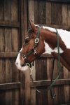 *KENTUCKY NYLON HALTER Pleciony kantar dla koni