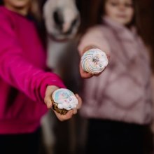 KOŃSKA. CUKIERENKA MUFFINKA PIANKOWA TĘCZA  Smakołyki/Cukierki naturalne dla koni