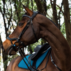ACAVALLO ALLEGORIA Ogłowie anatomiczne z szerokim paskiem potylicznym dla konia
