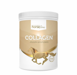 HorseLinePRO Collagen Kolagen preparat wzmacniający ścięgna i stawy 800g