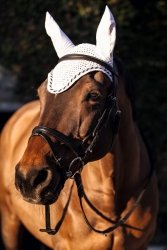 COVALLIERO CLASSIC Nauszniki 24H