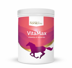 .HorseLinePRO VitaMax Kompleksowy zestaw witaminy 2,5kg