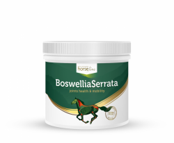 *HorseLinePRO Boswellia Serrata silnie działający preparat przeciwzapalny wzmacniający ścięgna i stawy 500g