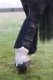 KENTUCKY EVENTING AIR TECH Ochraniacze robocze/ujeżdżeniowe dla konia TYŁ