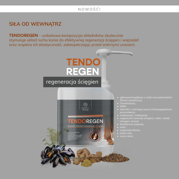 HIPPOVET PHARMACY TENDOREGEN – regeneracja i wzmocnienie ścięgien 2,5l