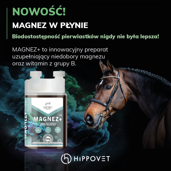 MEBIO MAGNEZ+ Wysoce przyswajalny magnez organiczny 1,2kg