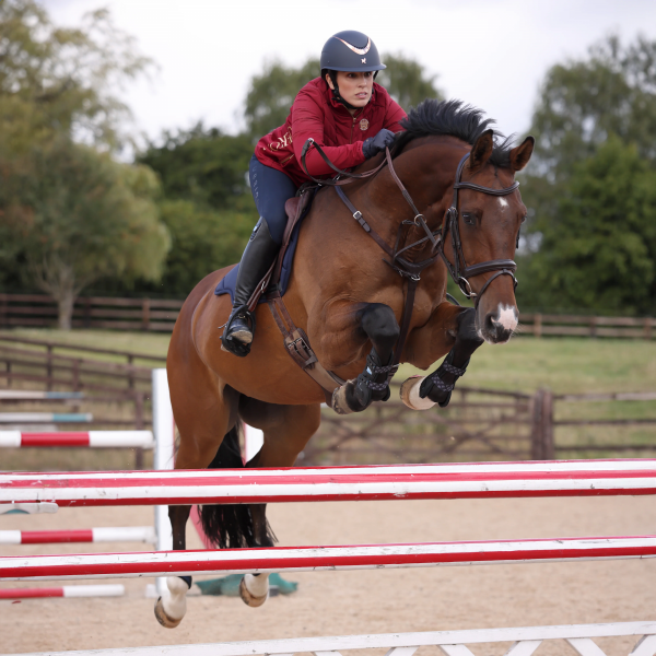 SHIRES EQUESTRIAN ARMA CARBON Ochraniacze skokowe przednie