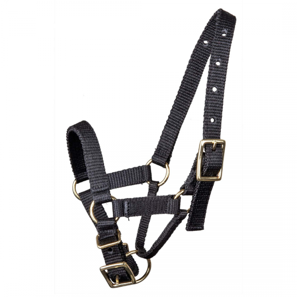 WALDHAUSEN ALPACA Kantar dla alpak