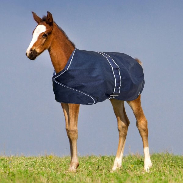 YORK FOAL Derka padokowa dla źrebiąt 100g