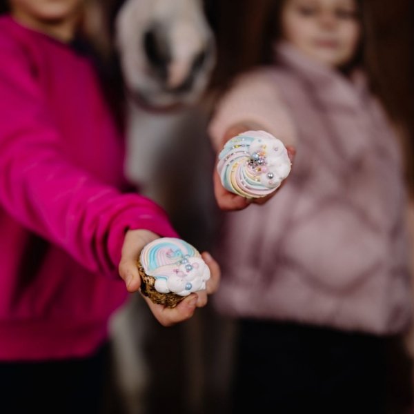 KOŃSKA. CUKIERENKA MUFFINKA PIANKOWA TĘCZA  Smakołyki/Cukierki naturalne dla koni