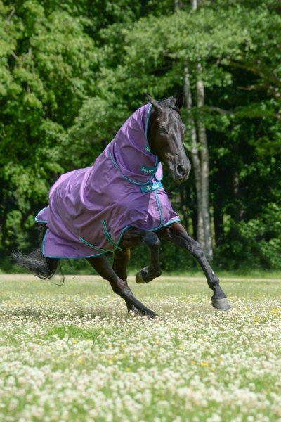 BUCAS FREEDOM FLY SHEET  FULL NECK Derka siatkowa