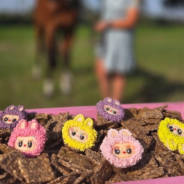 KOŃSKA. CUKIERENKA MUFFINKA LA-BOOM Smakołyki/Cukierki naturalne dla koni