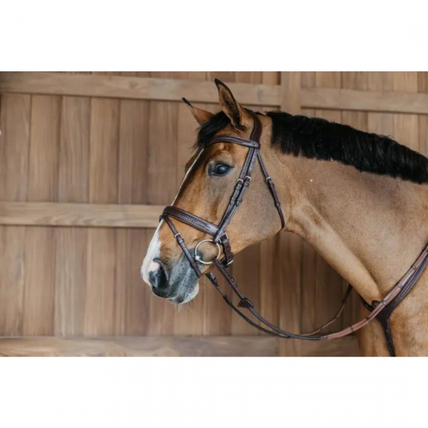 DYON PLAITED FLASH NOSEBAND WITH PULL-BACK Ogłowie z plecionym nachrapnikiem szwedzkim&quot;