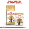 ROYAL CANIN British Shorthair Adult 10kg