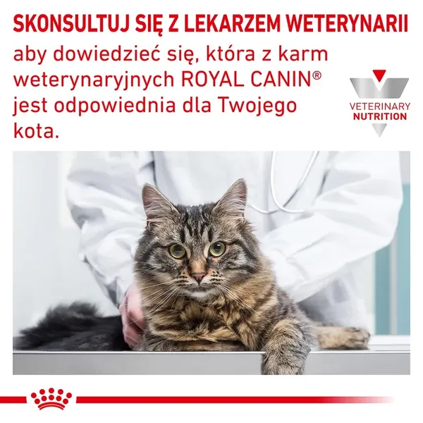 ROYAL CANIN Anallergenic Cat 4kg