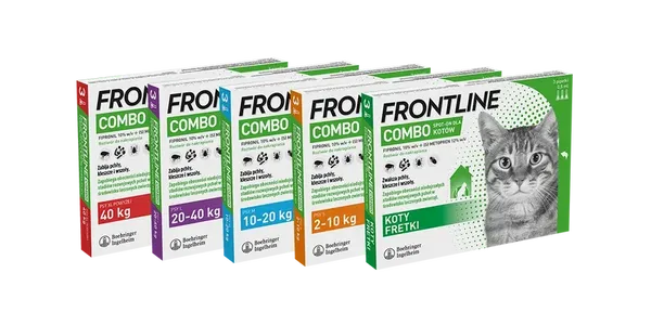 FRONTLINE Combo Spot-On Dla Psów 3x2,68ml